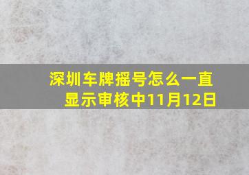 深圳车牌摇号怎么一直显示审核中11月12日