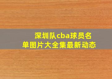 深圳队cba球员名单图片大全集最新动态