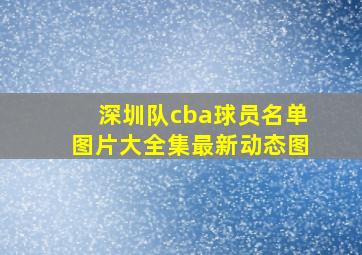 深圳队cba球员名单图片大全集最新动态图