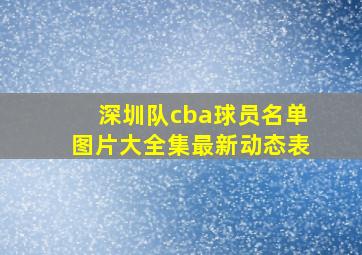 深圳队cba球员名单图片大全集最新动态表