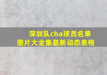 深圳队cba球员名单图片大全集最新动态表格