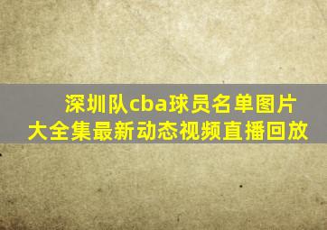 深圳队cba球员名单图片大全集最新动态视频直播回放