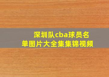 深圳队cba球员名单图片大全集集锦视频