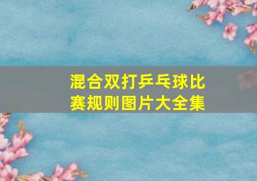 混合双打乒乓球比赛规则图片大全集