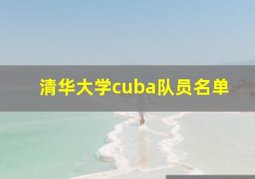 清华大学cuba队员名单