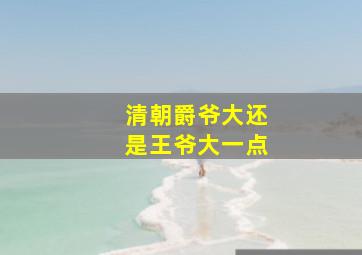 清朝爵爷大还是王爷大一点