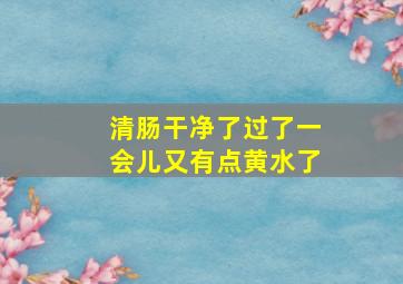 清肠干净了过了一会儿又有点黄水了