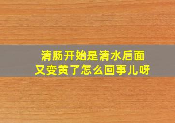 清肠开始是清水后面又变黄了怎么回事儿呀