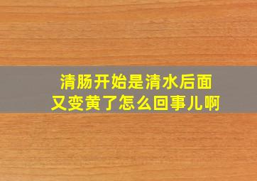 清肠开始是清水后面又变黄了怎么回事儿啊