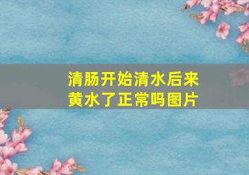 清肠开始清水后来黄水了正常吗图片