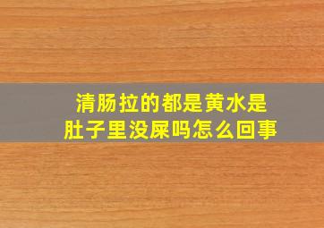 清肠拉的都是黄水是肚子里没屎吗怎么回事