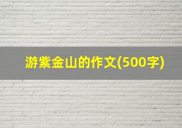 游紫金山的作文(500字)