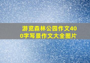 游览森林公园作文400字写景作文大全图片