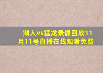 湖人vs猛龙录像回放11月11号直播在线观看免费