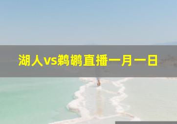 湖人vs鹈鹕直播一月一日