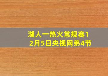 湖人一热火常规赛12月5日央视网弟4节