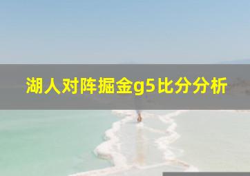 湖人对阵掘金g5比分分析