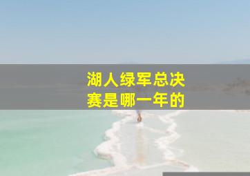 湖人绿军总决赛是哪一年的