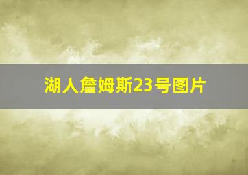 湖人詹姆斯23号图片