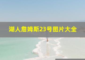 湖人詹姆斯23号图片大全