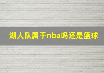 湖人队属于nba吗还是篮球