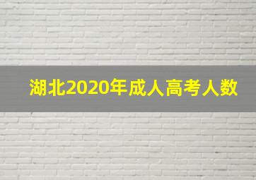 湖北2020年成人高考人数