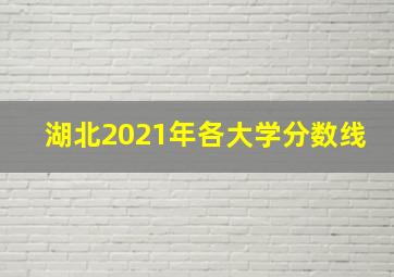 湖北2021年各大学分数线