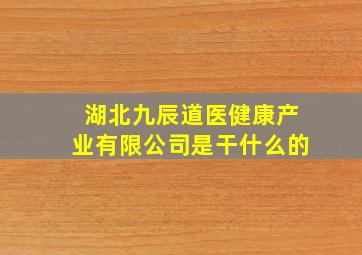 湖北九辰道医健康产业有限公司是干什么的