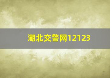 湖北交警网12123