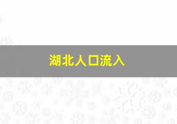 湖北人口流入