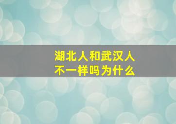 湖北人和武汉人不一样吗为什么