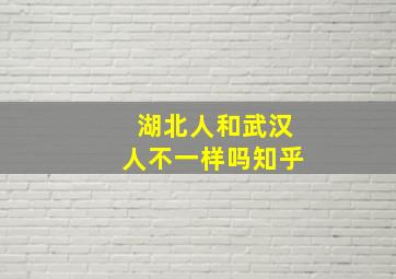 湖北人和武汉人不一样吗知乎