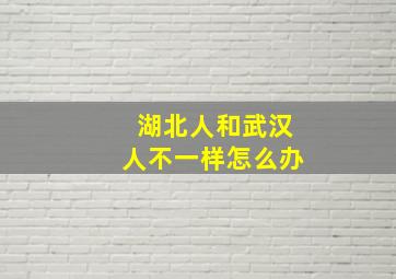 湖北人和武汉人不一样怎么办