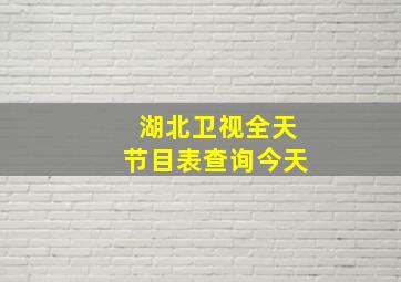 湖北卫视全天节目表查询今天