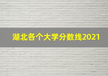 湖北各个大学分数线2021