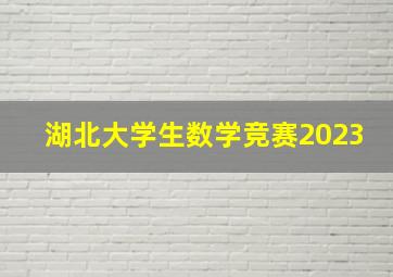 湖北大学生数学竞赛2023