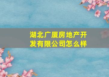 湖北广厦房地产开发有限公司怎么样