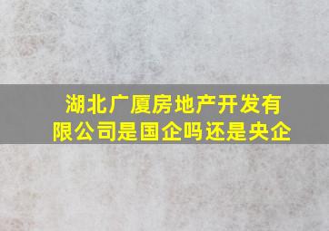 湖北广厦房地产开发有限公司是国企吗还是央企