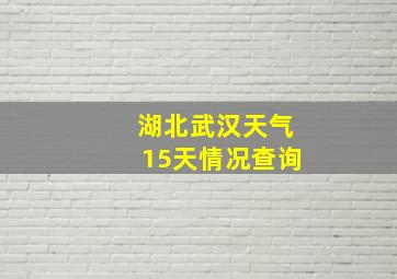 湖北武汉天气15天情况查询