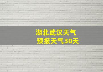 湖北武汉天气预报天气30天