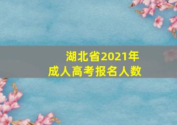 湖北省2021年成人高考报名人数