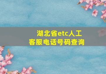 湖北省etc人工客服电话号码查询