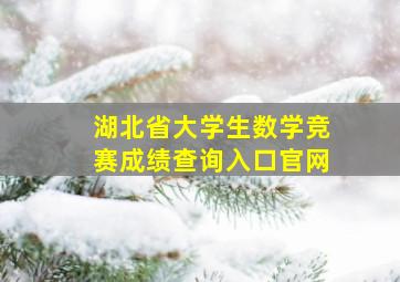 湖北省大学生数学竞赛成绩查询入口官网