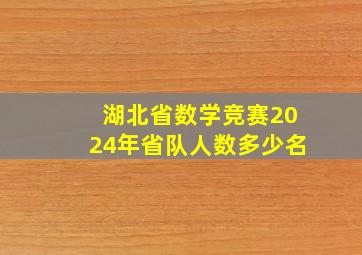 湖北省数学竞赛2024年省队人数多少名