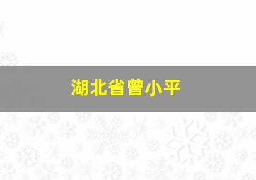 湖北省曾小平