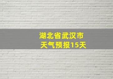 湖北省武汉市天气预报15天