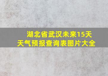 湖北省武汉未来15天天气预报查询表图片大全