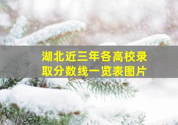 湖北近三年各高校录取分数线一览表图片