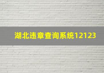 湖北违章查询系统12123