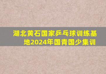 湖北黄石国家乒乓球训练基地2024年国青国少集训